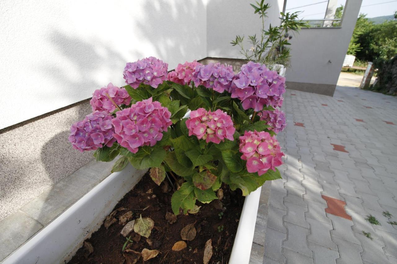 Apartments Klaudija Cizici Exterior photo